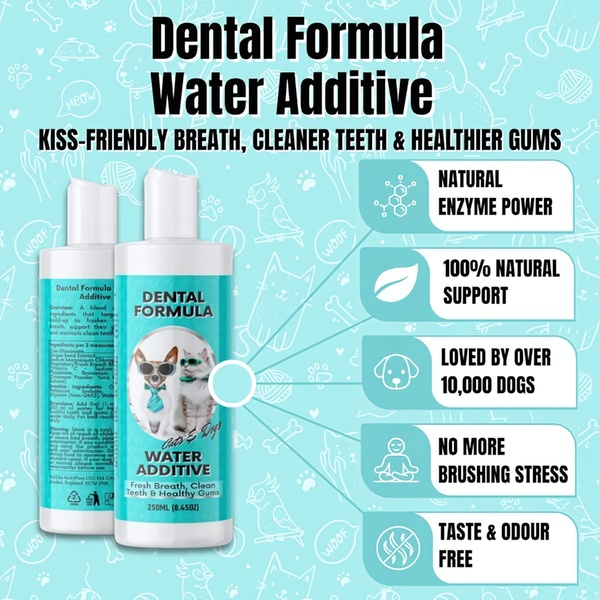 A 1:1 format ad creative for a pet dental water additive, utilizing a benefit-led listicle structure and clean visual hierarchy to highlight product efficacy.